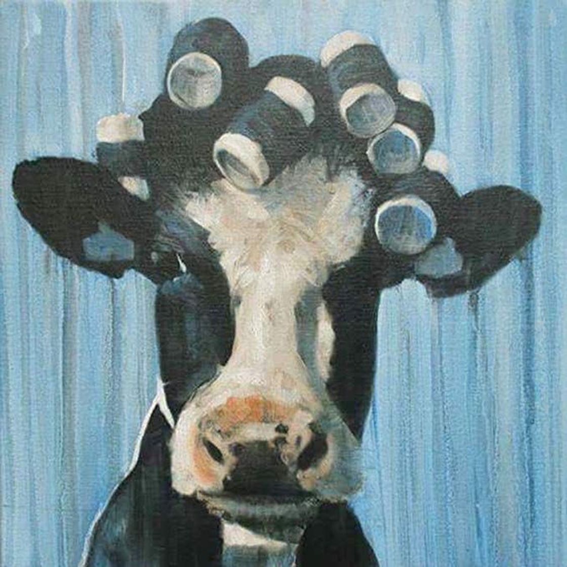 Fashion Cow 