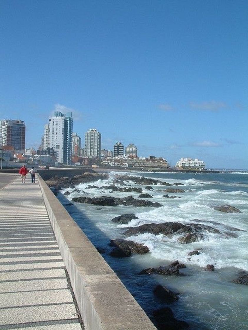 Place Punta del Este