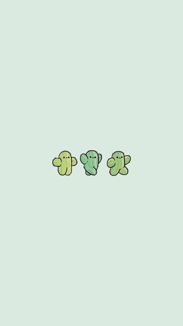 Fashion cactus🌵