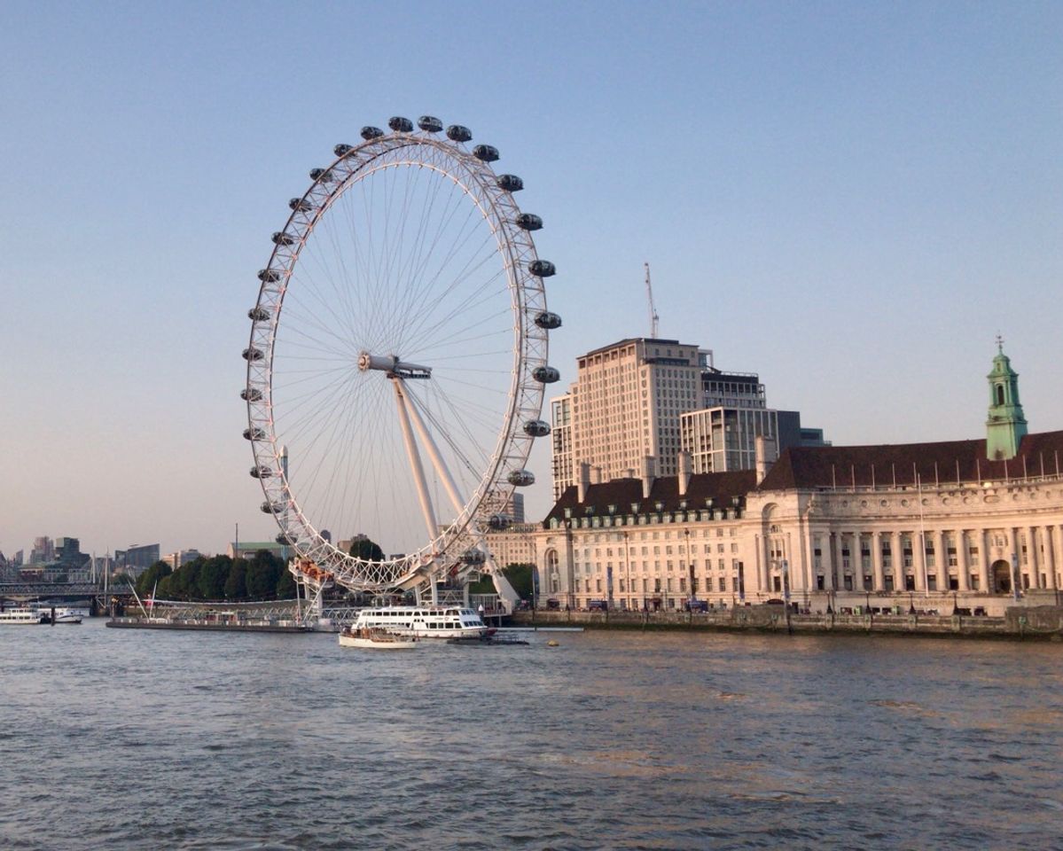 Place London Eye