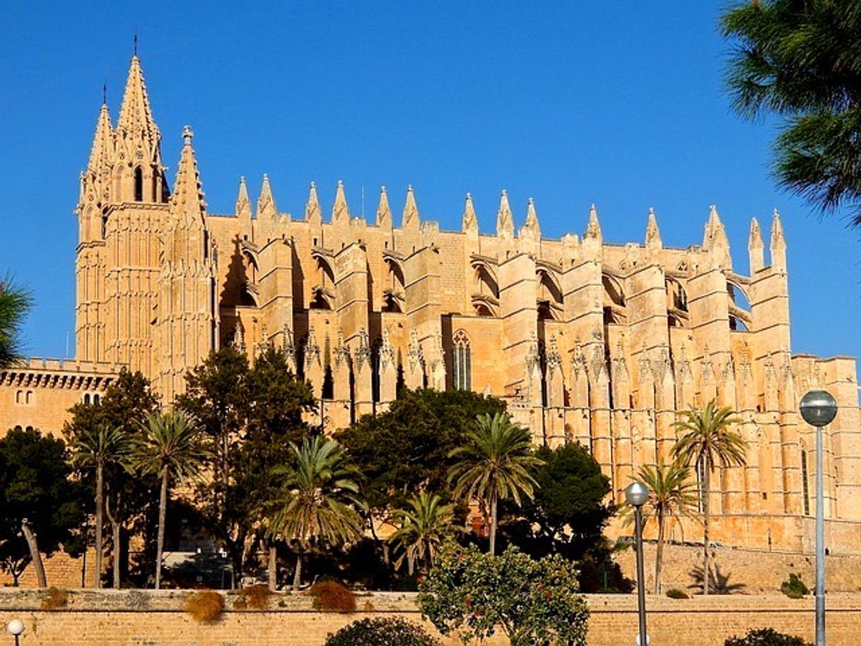 Place Catedral-Basílica de Santa María de Mallorca
