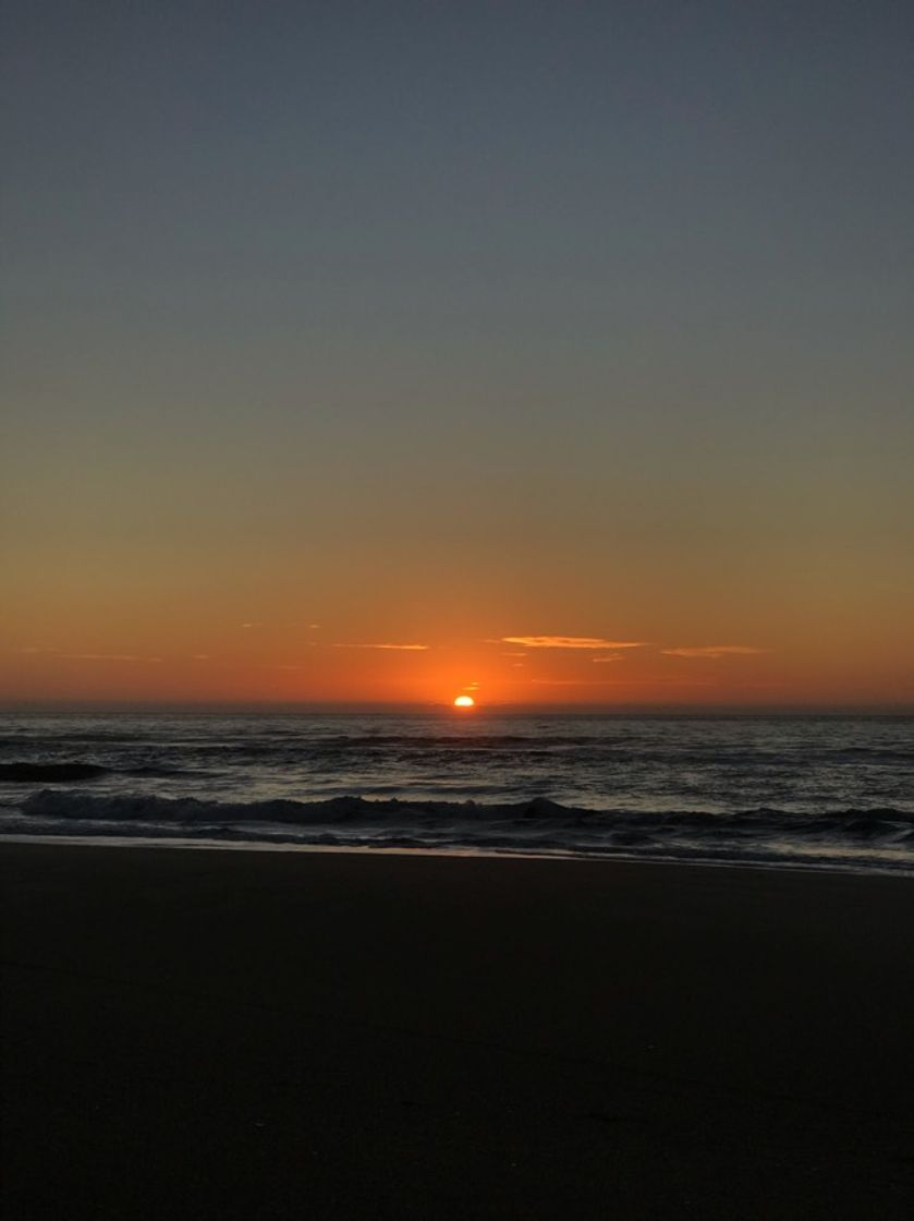 Lugar Praia do Campeche