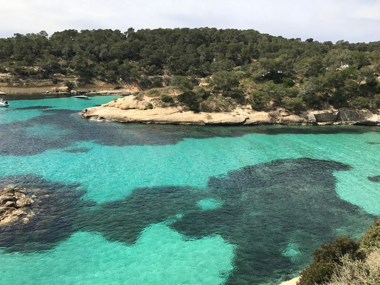 Place Cala Mago