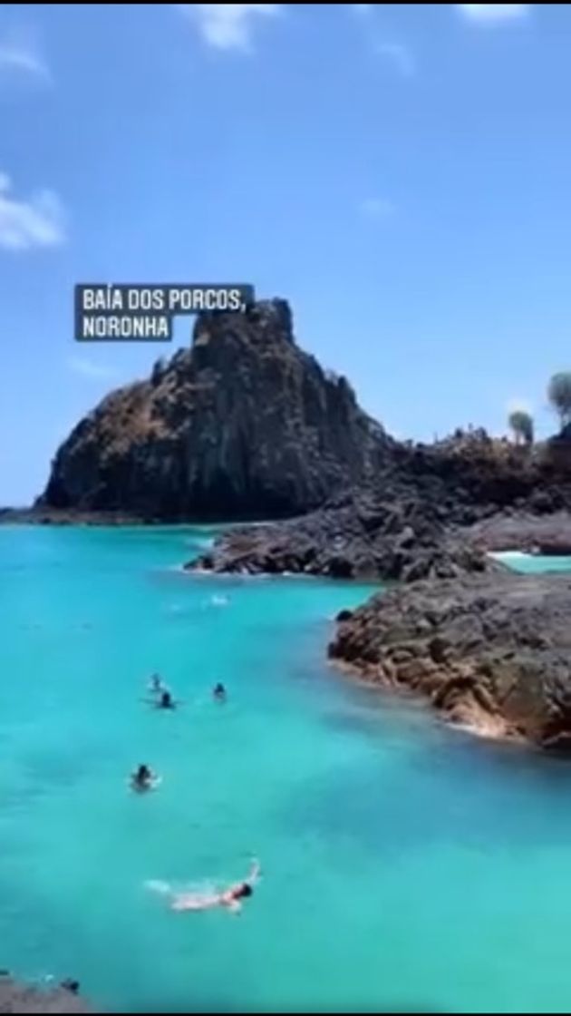 Praia, baía dos porcos-Noronha!
