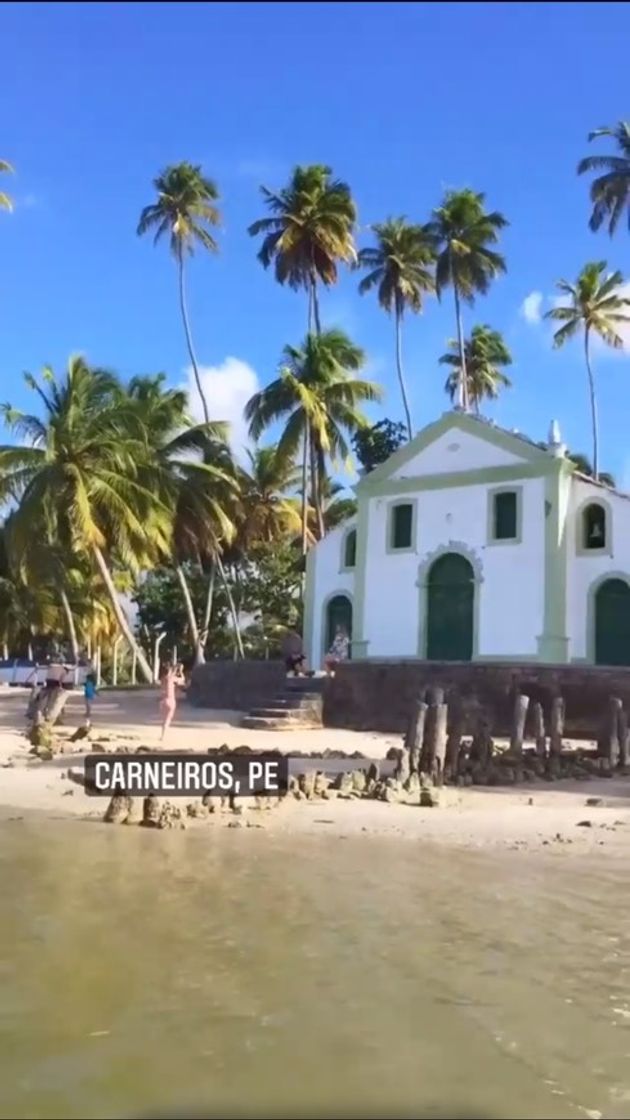 Praia de carneiros-PE