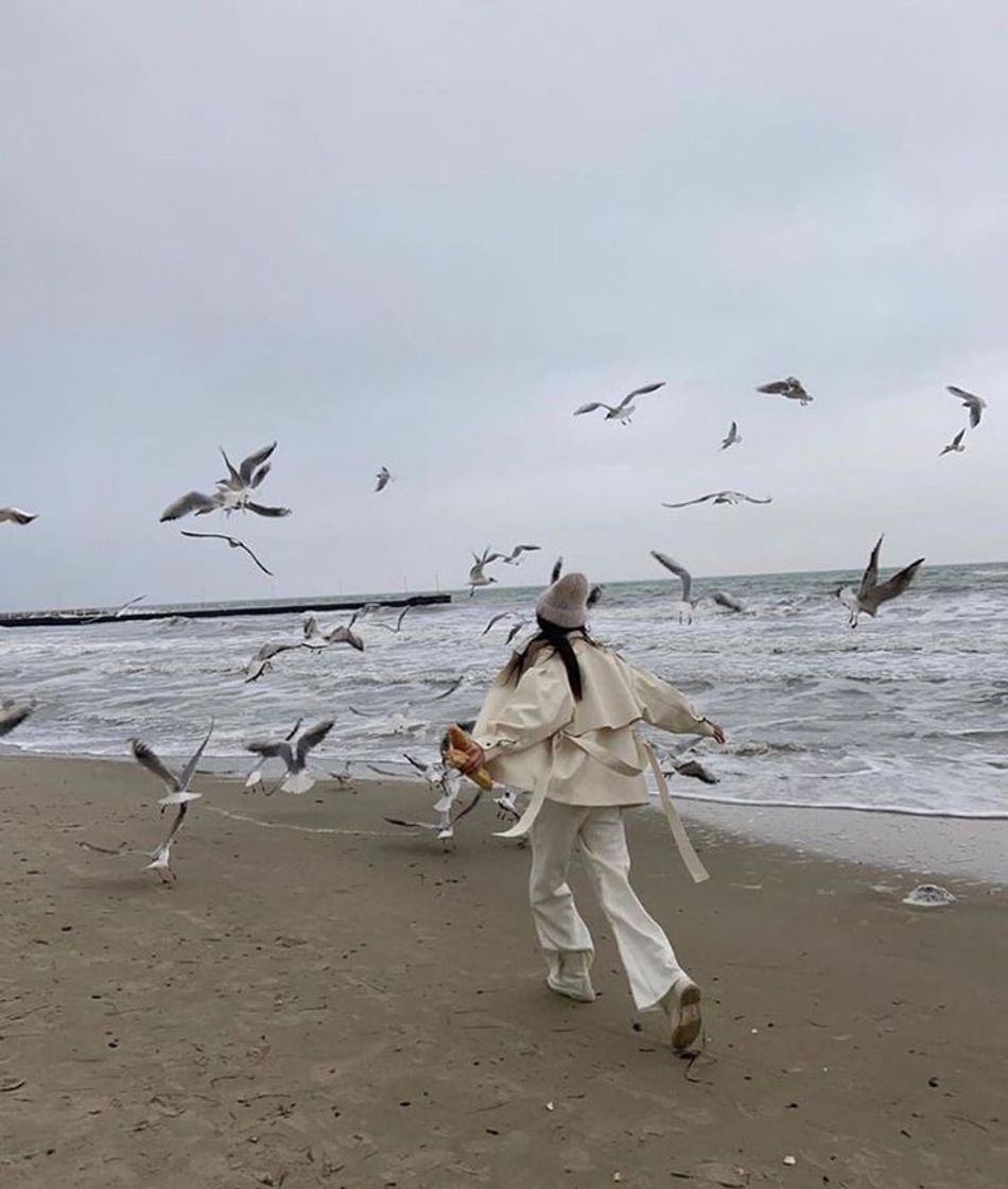 Fashion beach birds