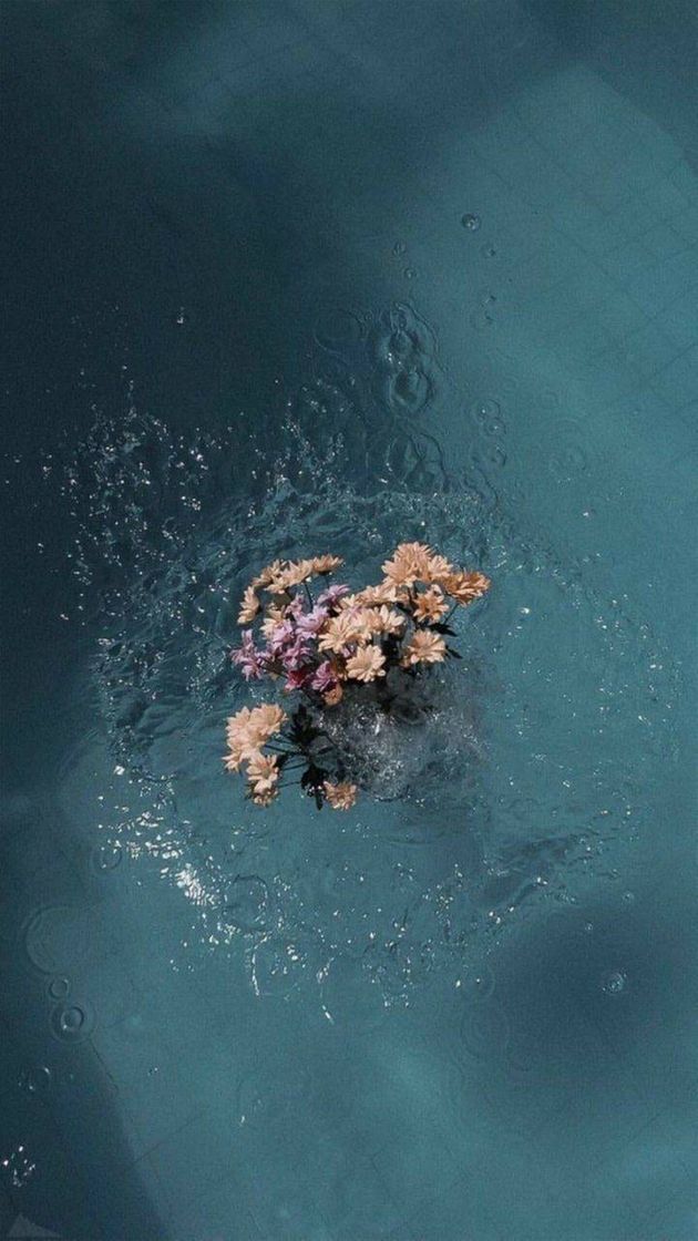 Social Flores marinhas 