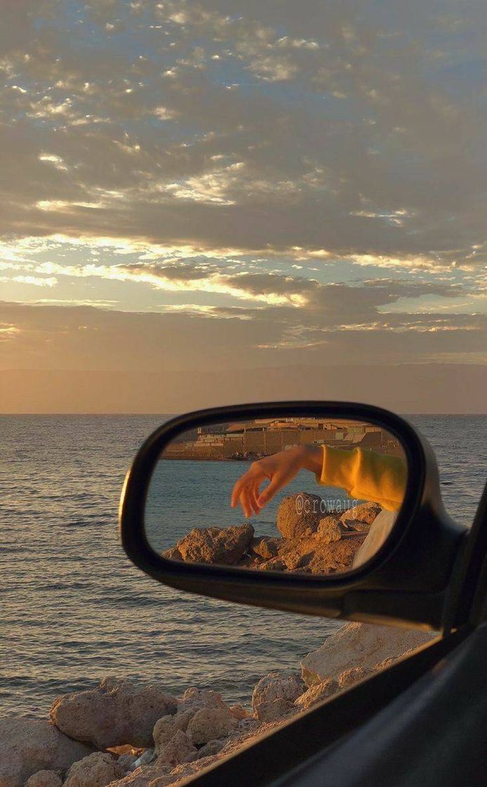 Social Paisagem