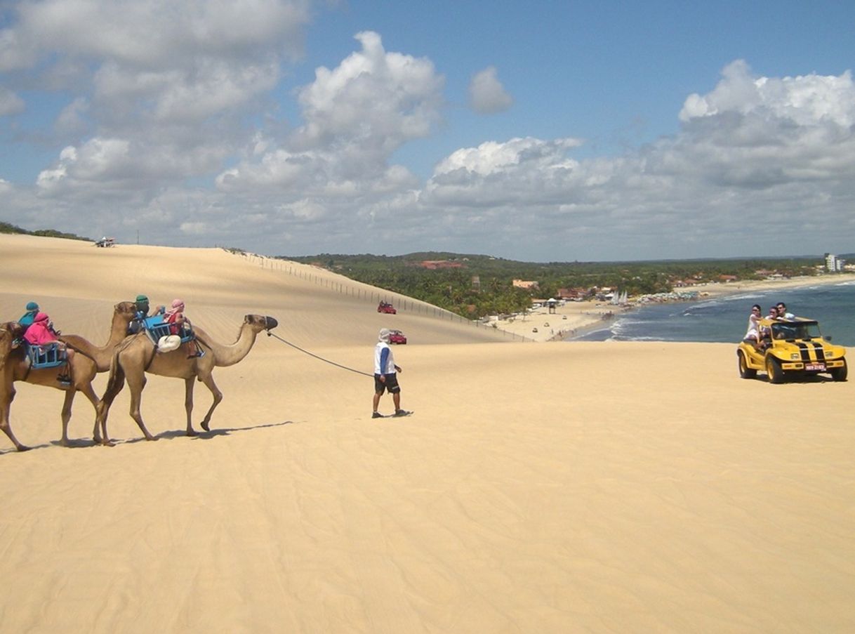 Place Praia de Genipabu