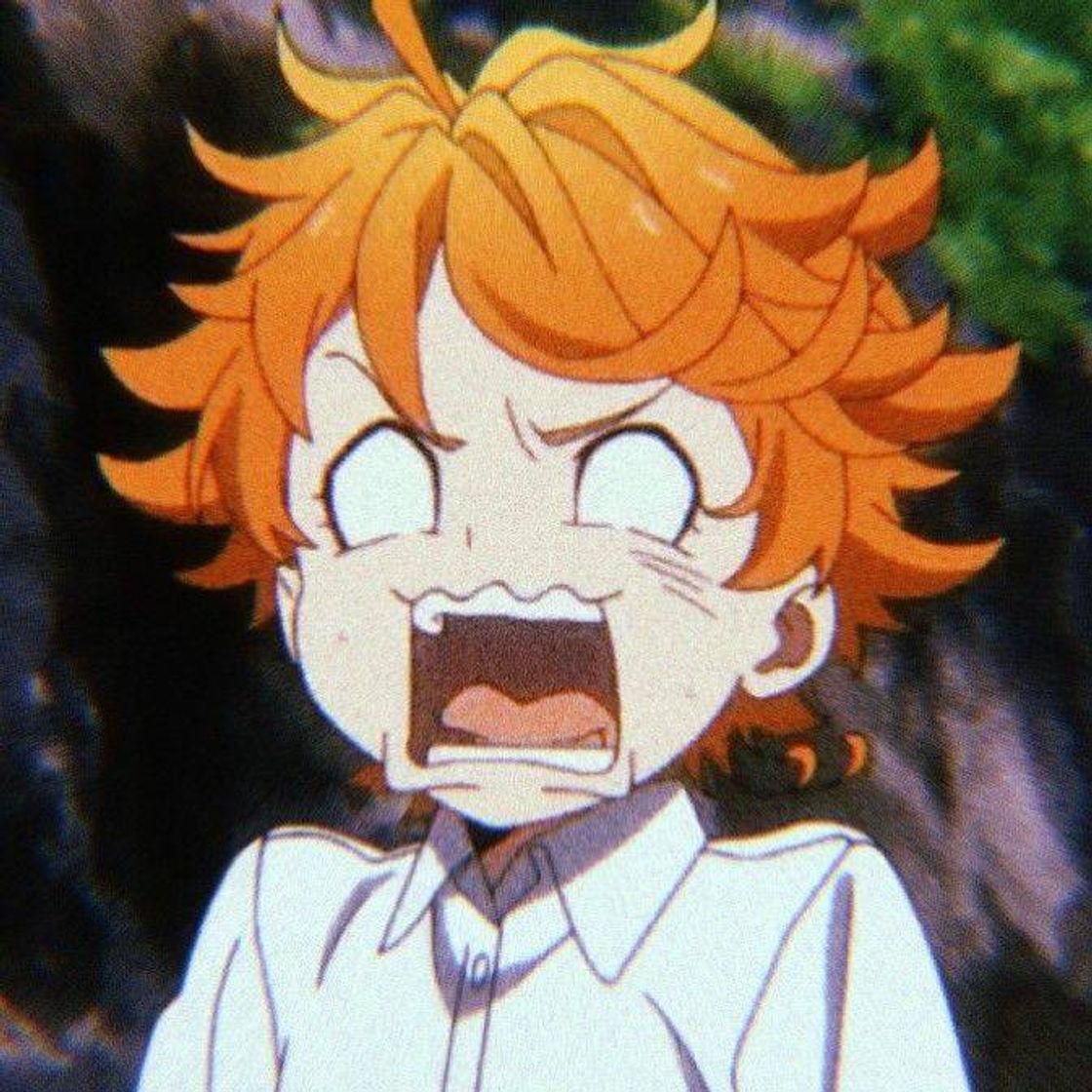 Serie The Promised Neverland