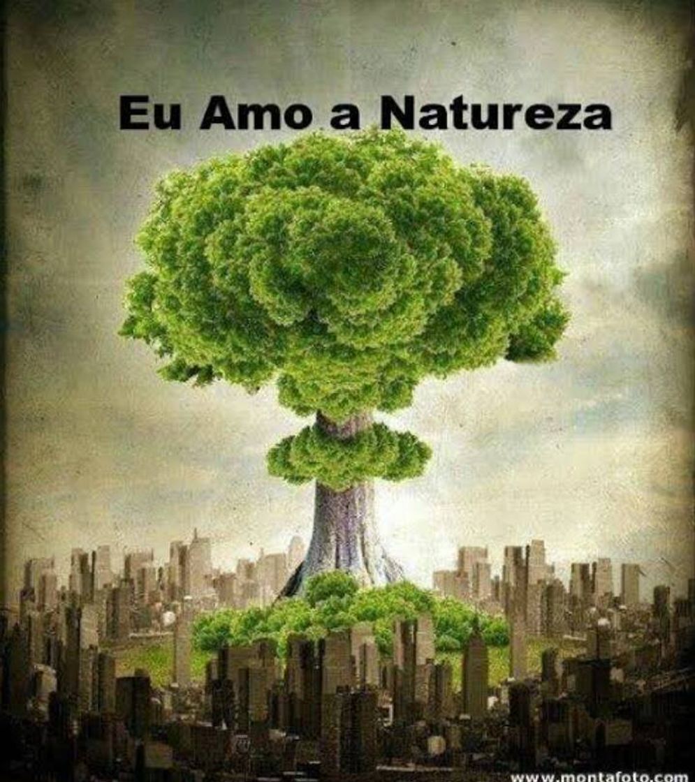 Moda Eu Amo a Natureza