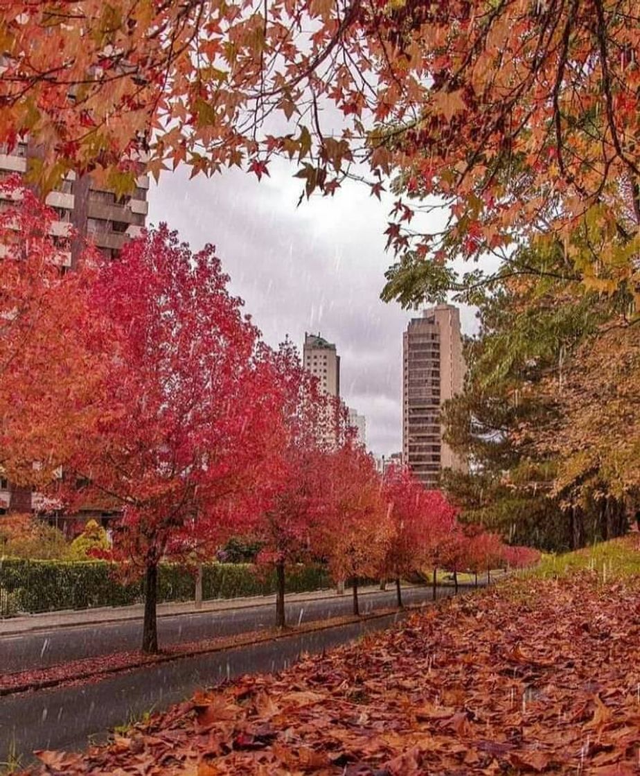 Moda Curitiba🍁🍂