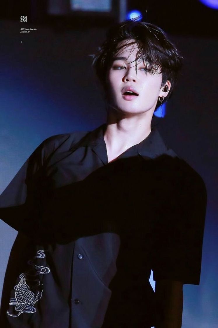 Fashion Park Jimin do Bts 