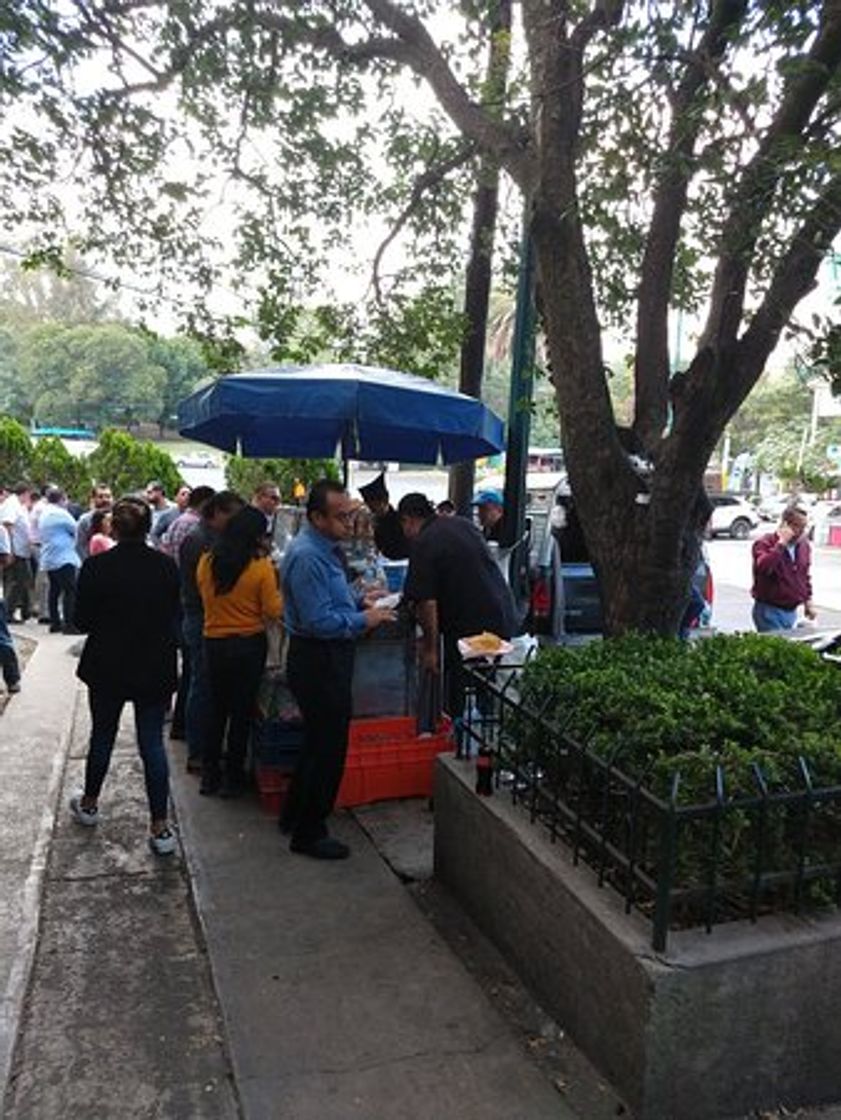 Restaurants El Jarocho de las Lomas