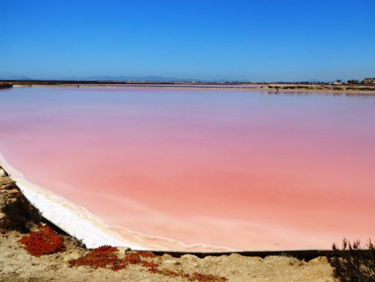 Lugar Salinas de San Pedro