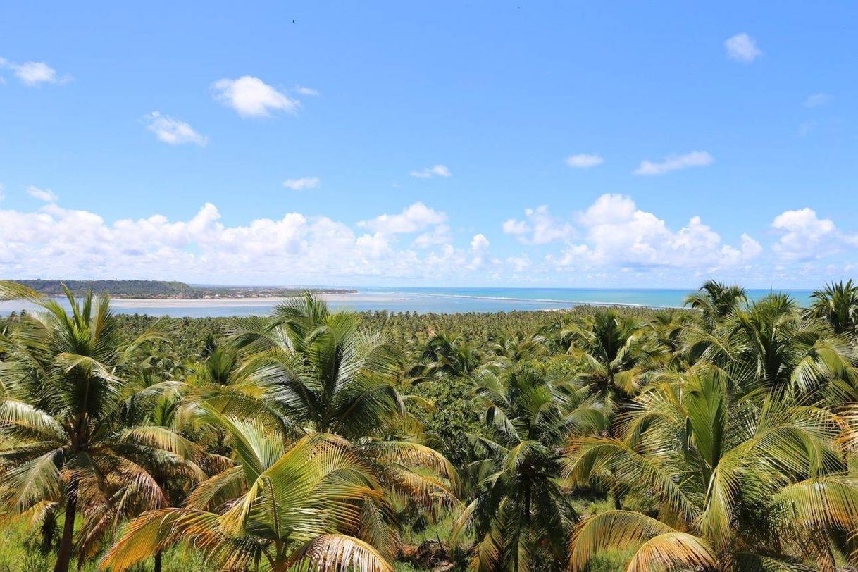 Place Praia do Gunga