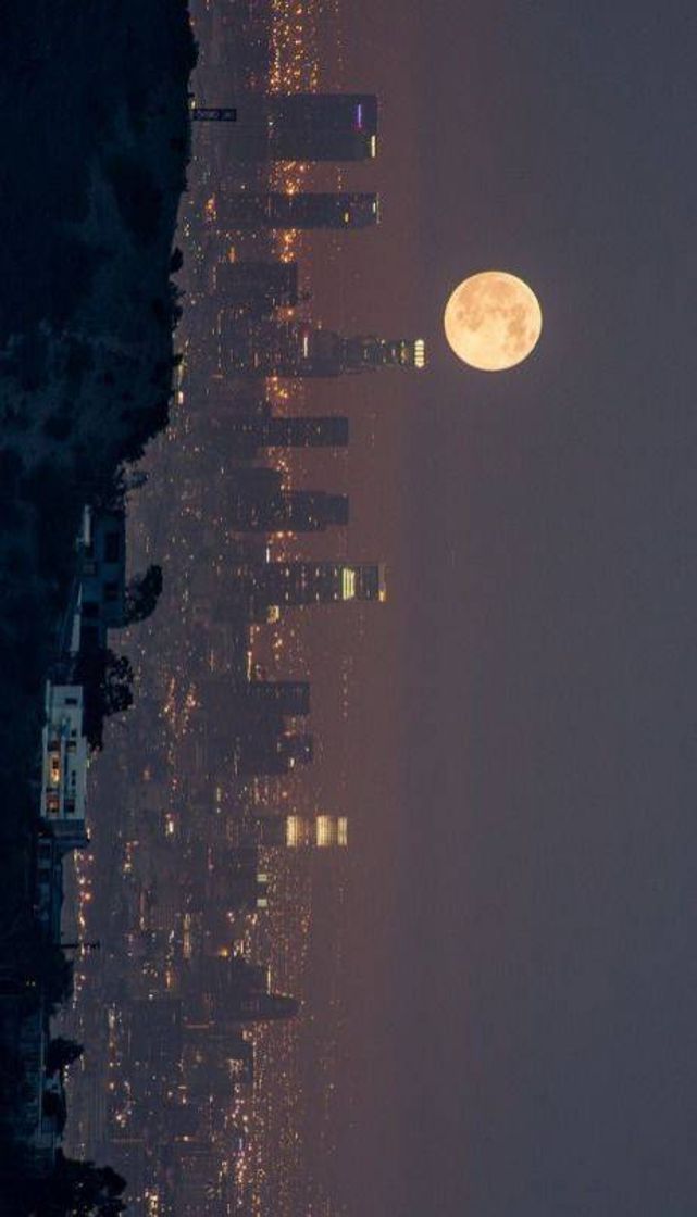 Moda 🌜Wallpaper 🌛