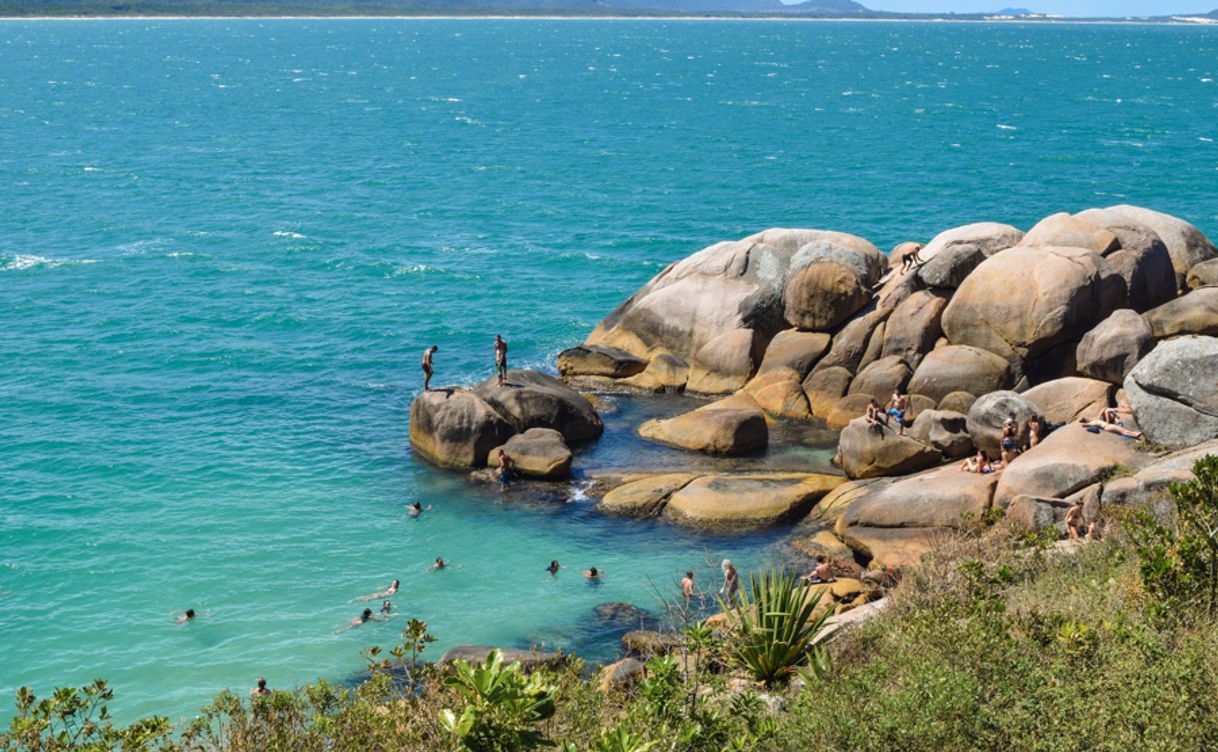 Lugar Natural pools of Barra da Lagoa