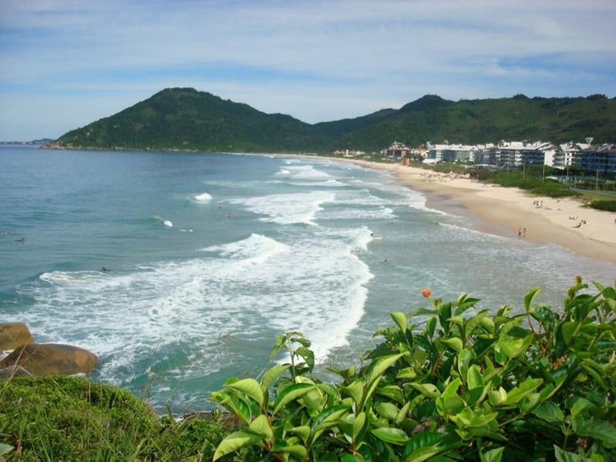 Lugar Praia Brava