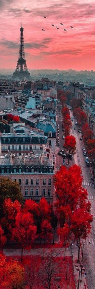 Place Paris, Franch