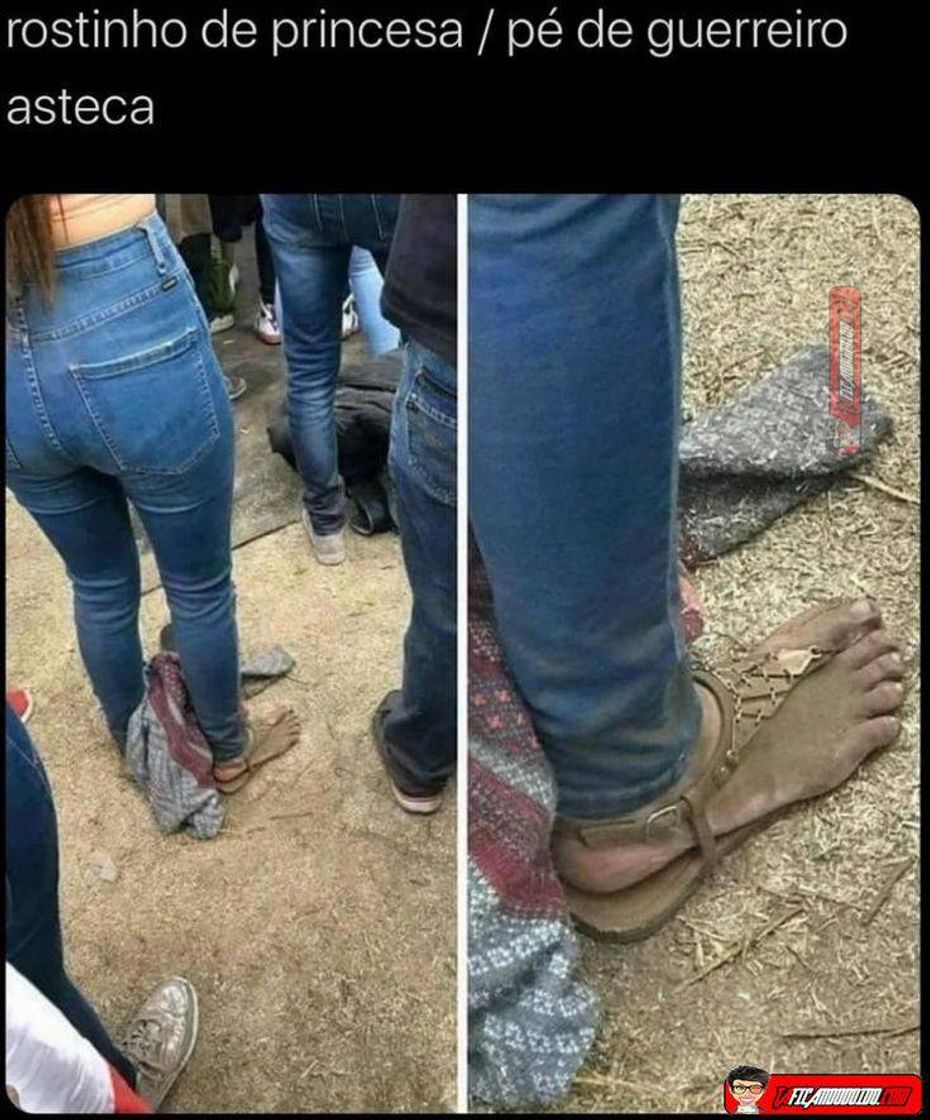 Fashion Meme engraçado