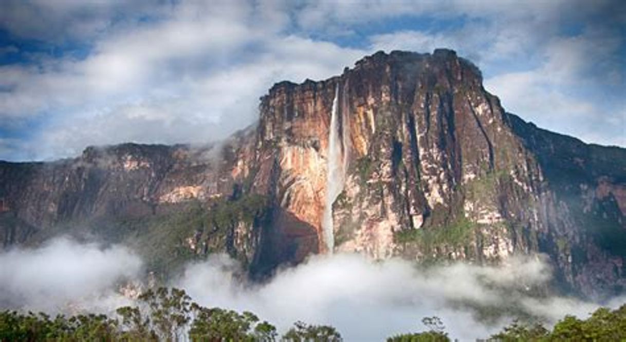 Place Venezuela Tour