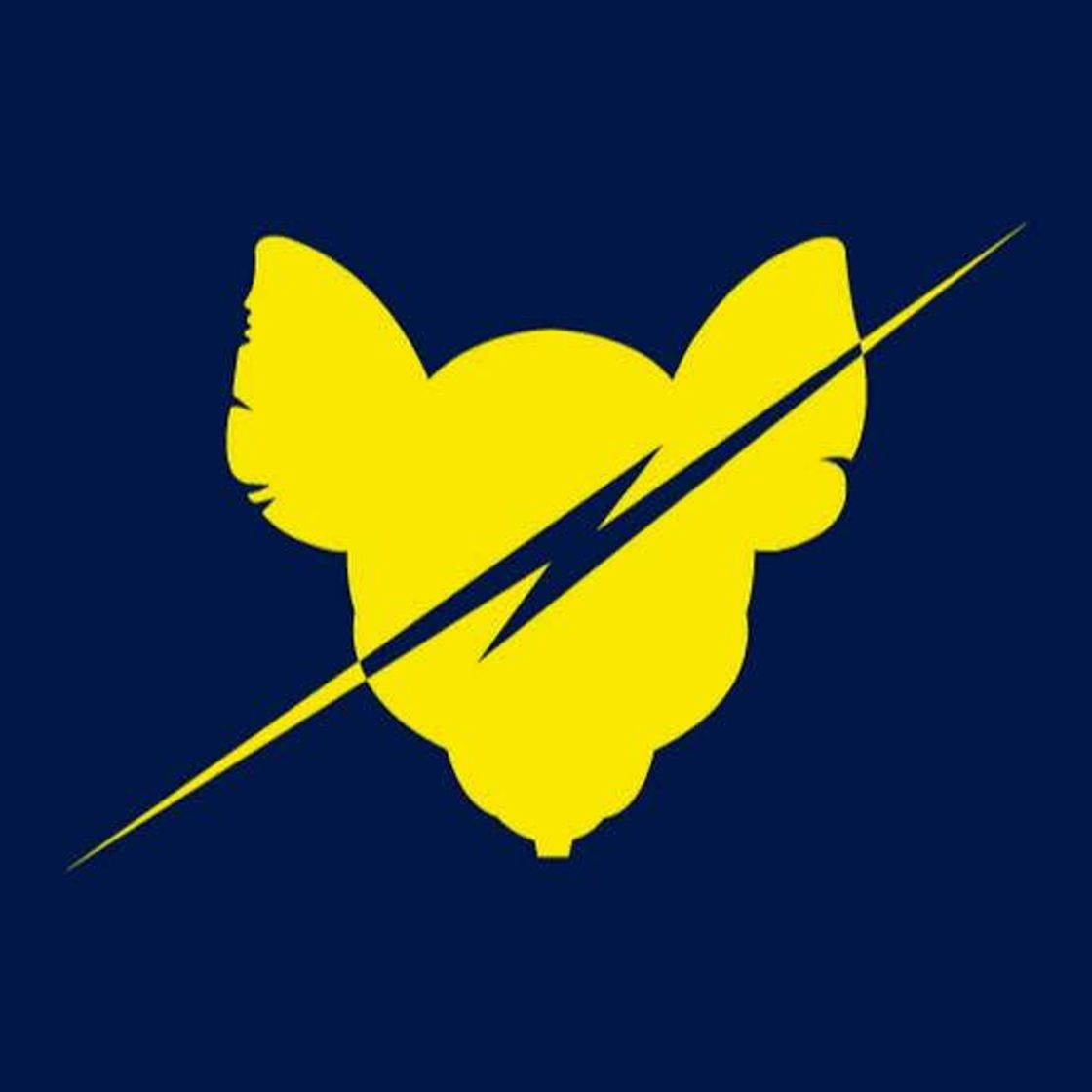 Social Equipe ThundeRatz de Robótica