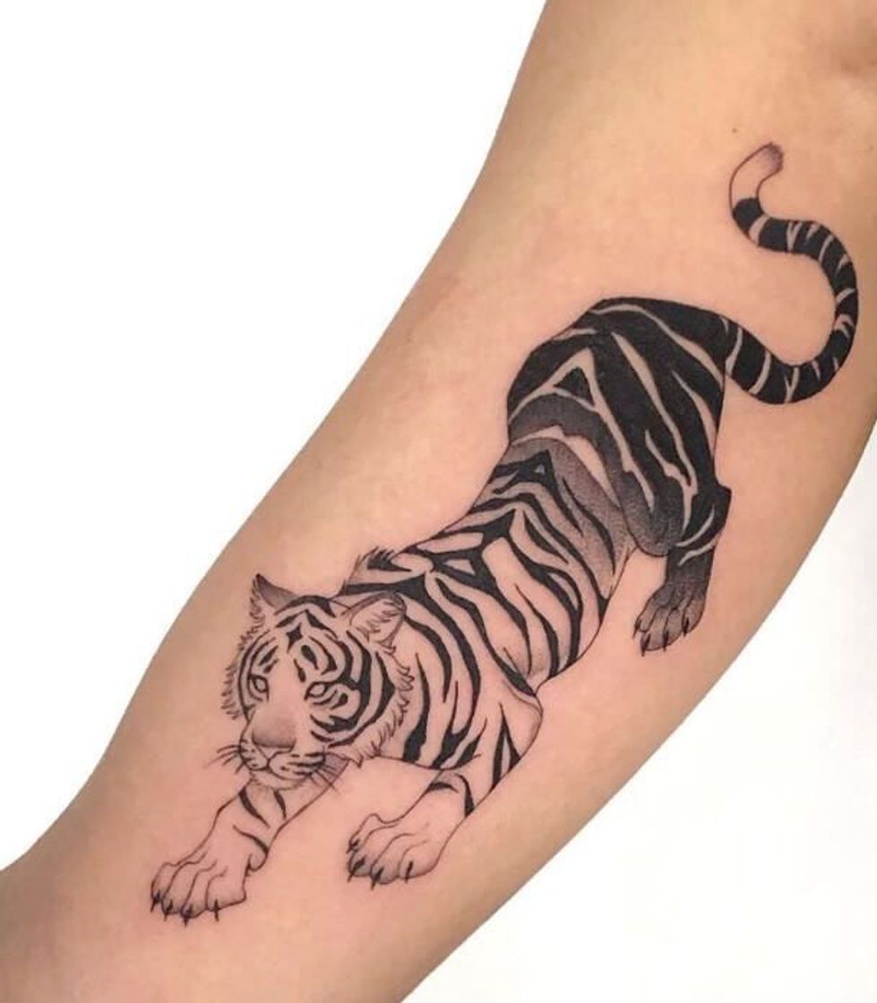 Fashion Tatuagem Tigre🐆