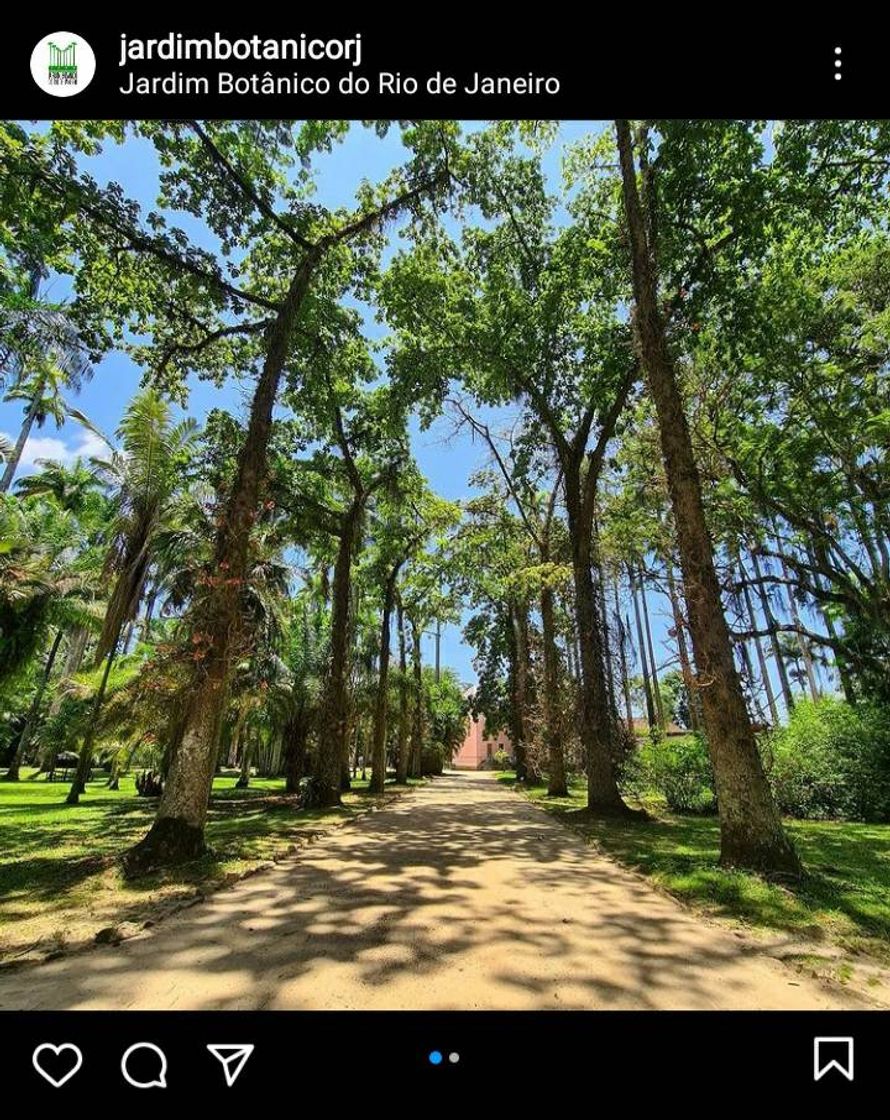 Lugar Jardim Botânico