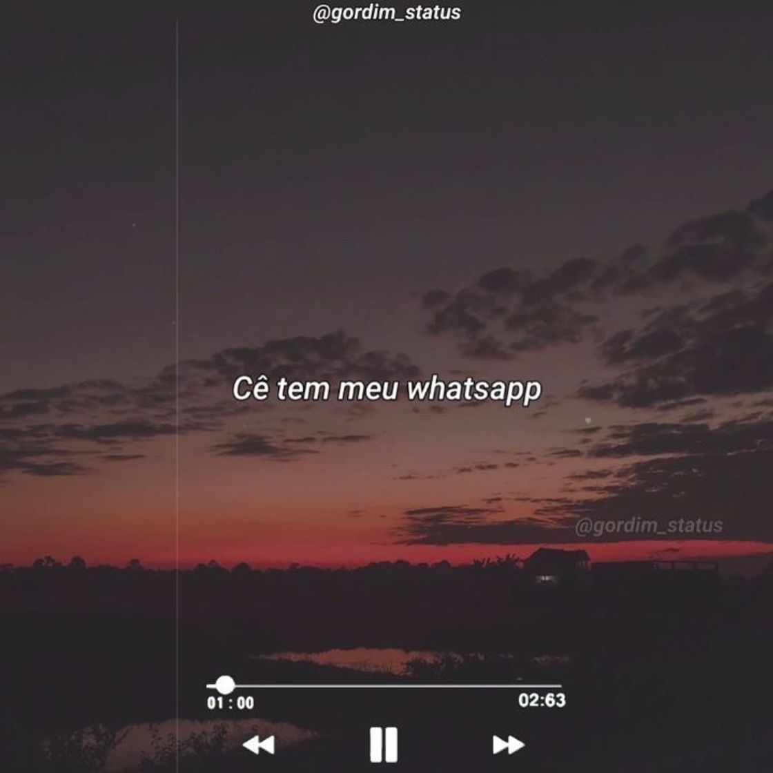 Canción Meia Noite (Você tem meu Whatsapp)