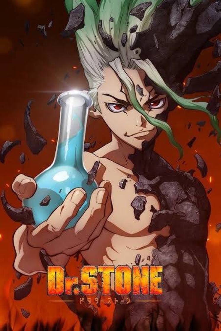 Moda Dr. Stone