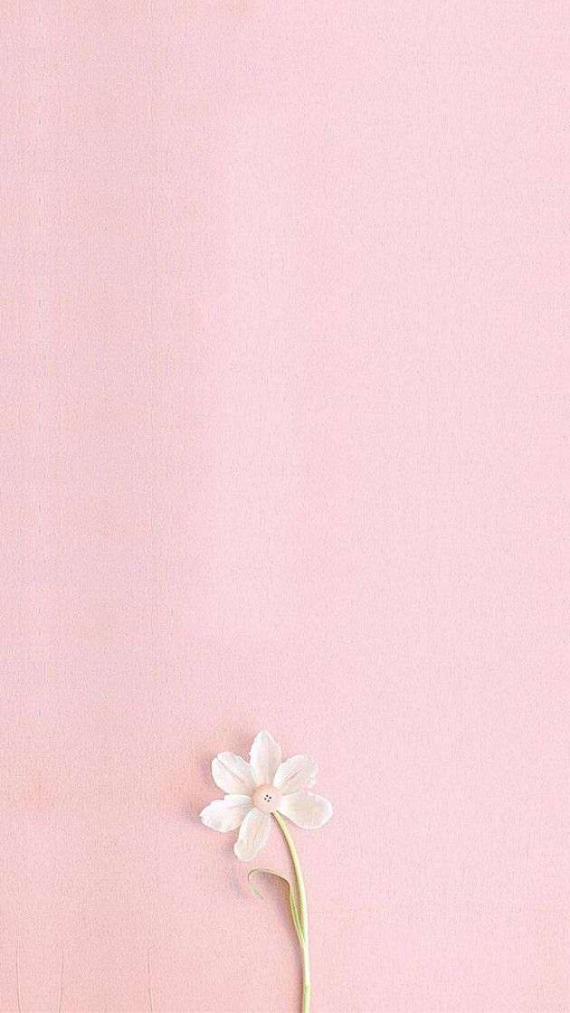 Apps Minimalista🌸