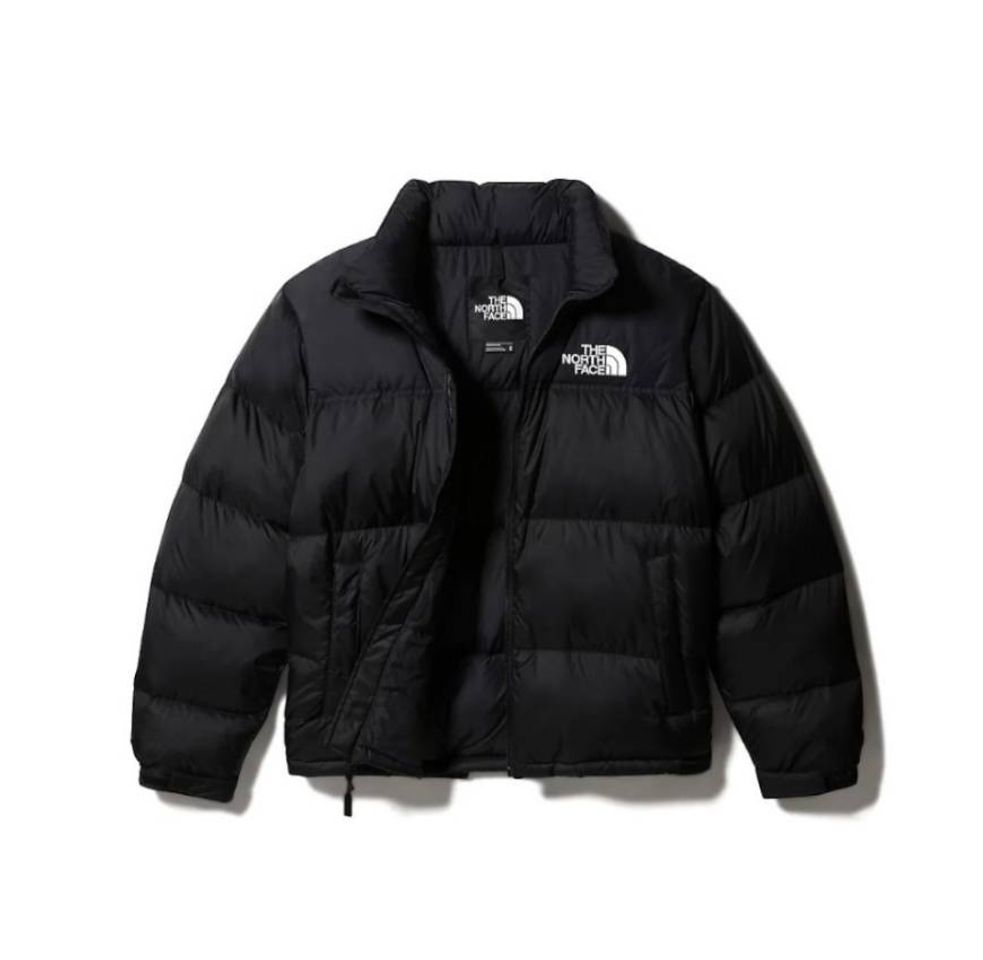 Fashion The North face 1996 retro Nuptse