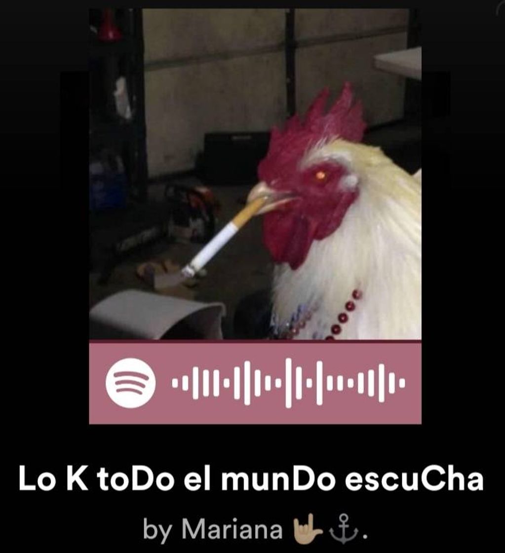 Music Lo k todo el mundo escucha 🚀