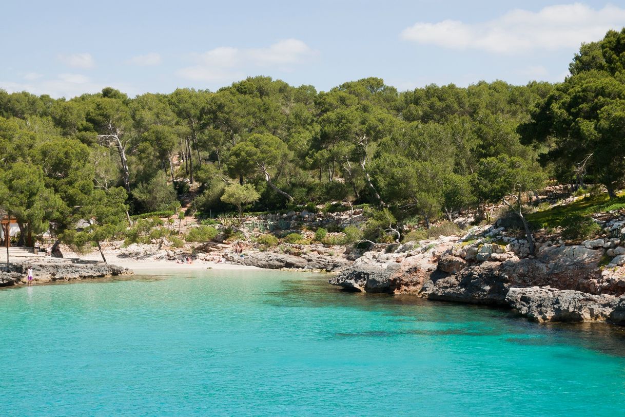 Lugar Cala Sa Nau