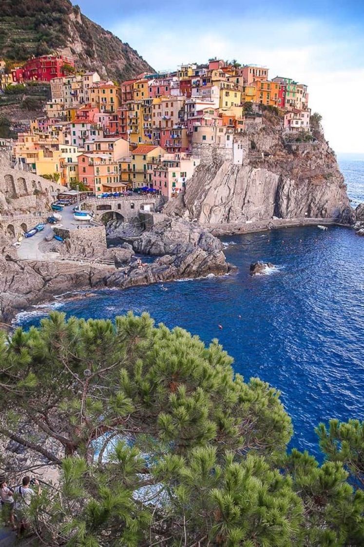 Place Manarola