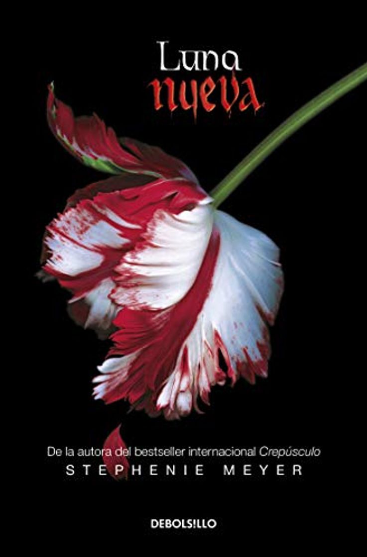 Luna nueva (novela)