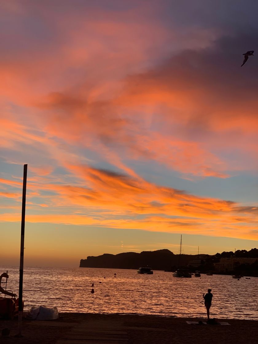 Restaurantes Santa Ponça Beach