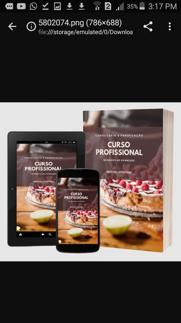 Book Curso profisional 