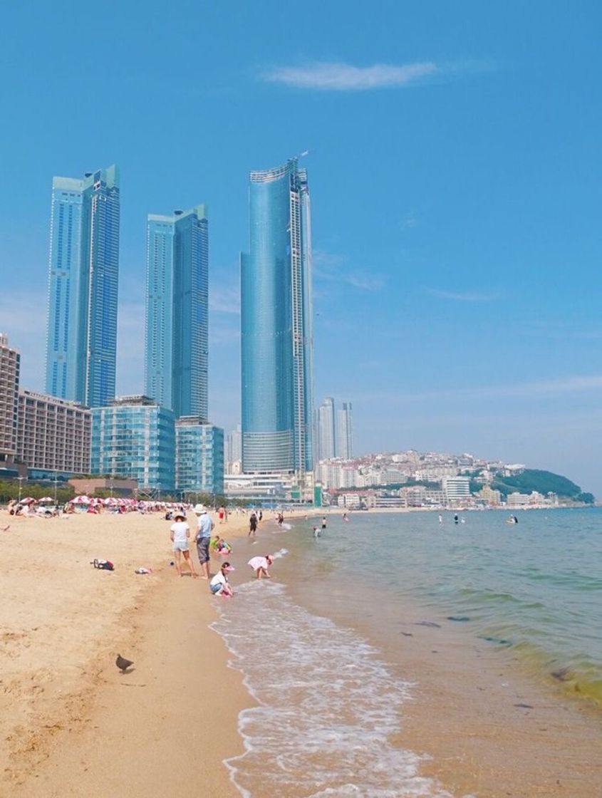 Places BUSAN BEACH - SOUTH KOREA 🇰🇷 