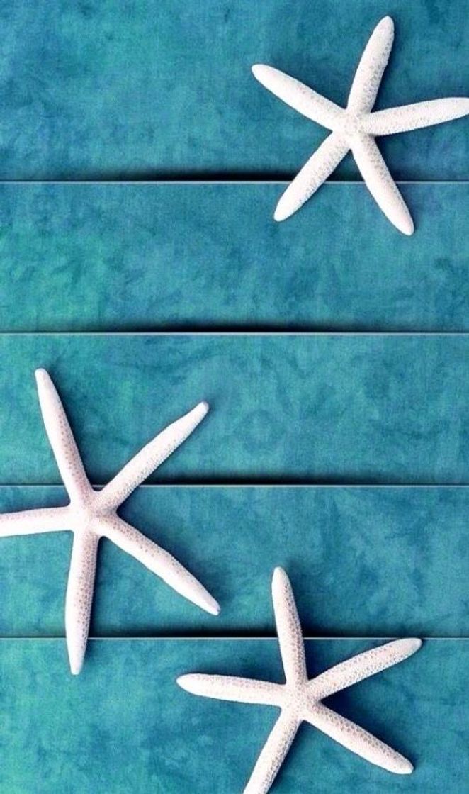 Social Estrela do mar 🌊 