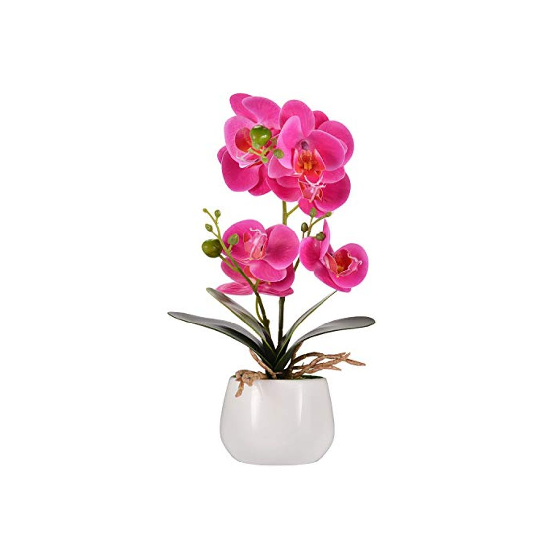 Productos Asvert Phalaenopsis Bonsai de orquídeas de Flores Artificiales con jarrón de cerámica