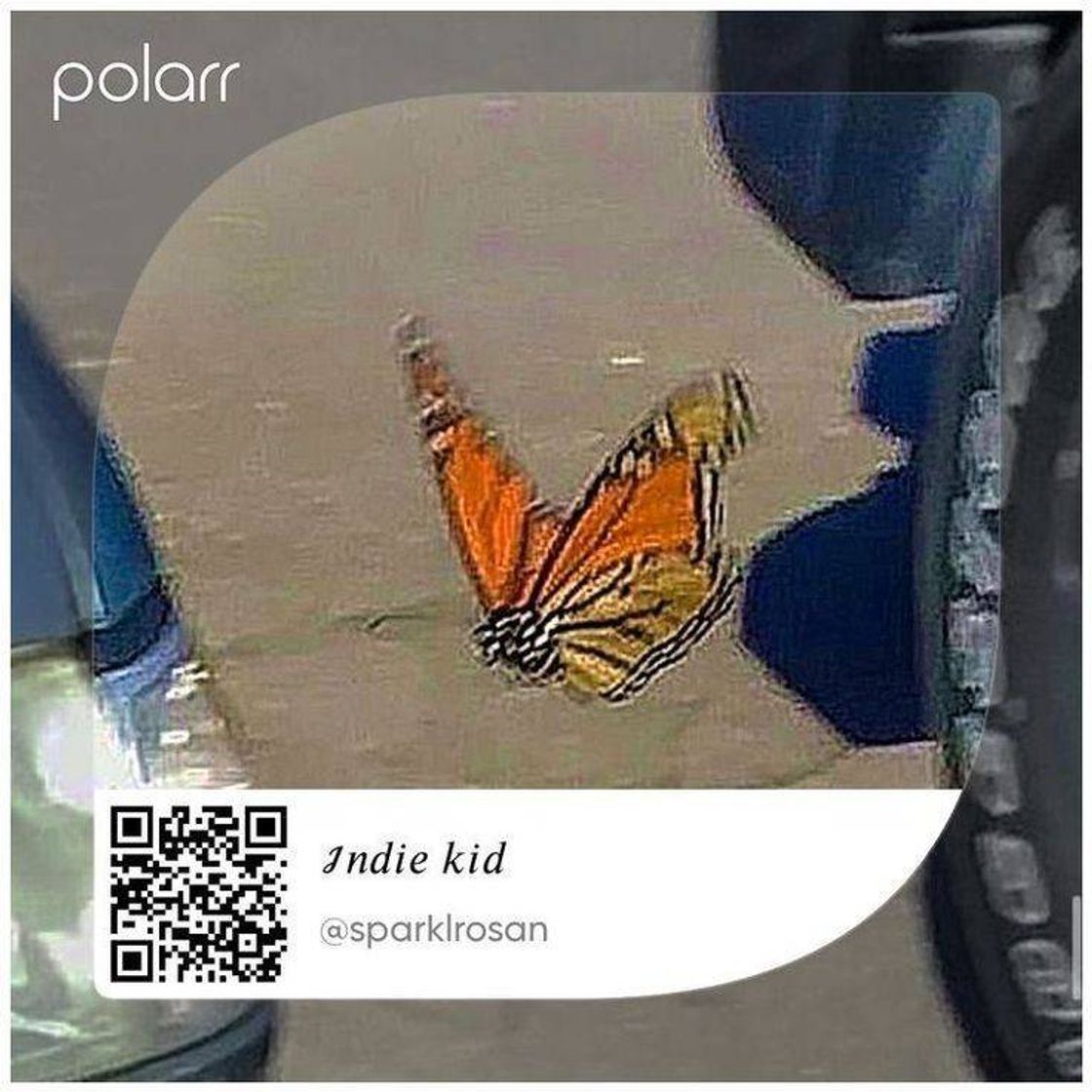 Social Indie kid