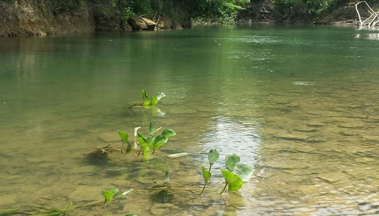 Lugar Arroyo Tagatiyá - Estancia Ña Blanca