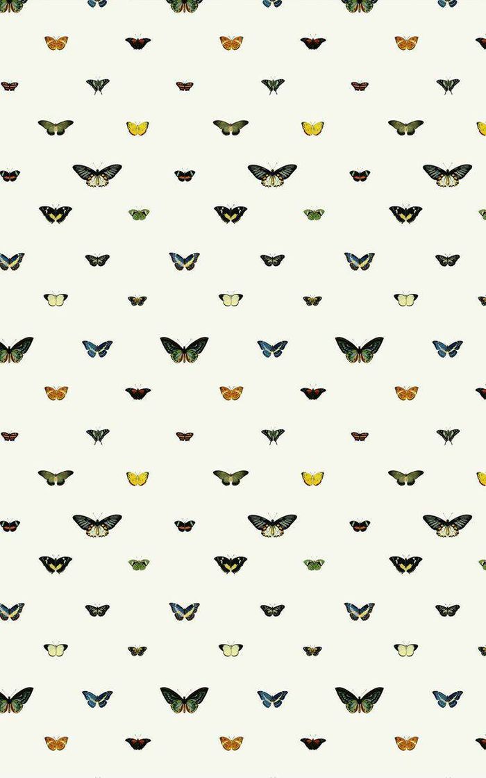 Fashion Butterflies pattern 