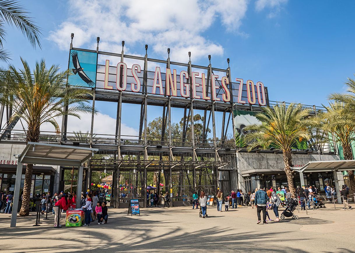 Lugar Zoológico de Los Ángeles