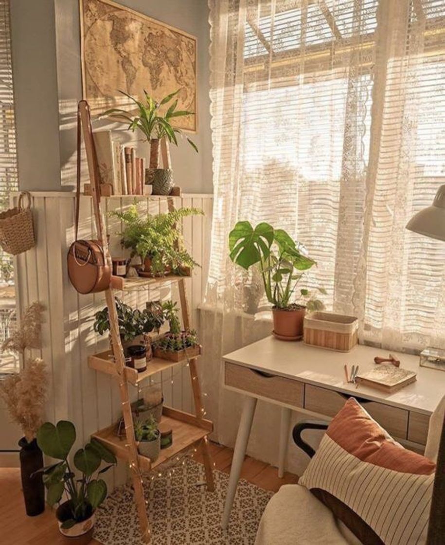 Moda 15 ideias para decorar seu quarto com plantas 