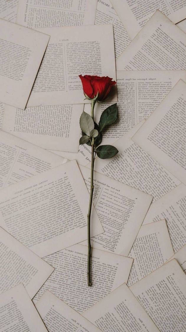 Moda 🌹📖