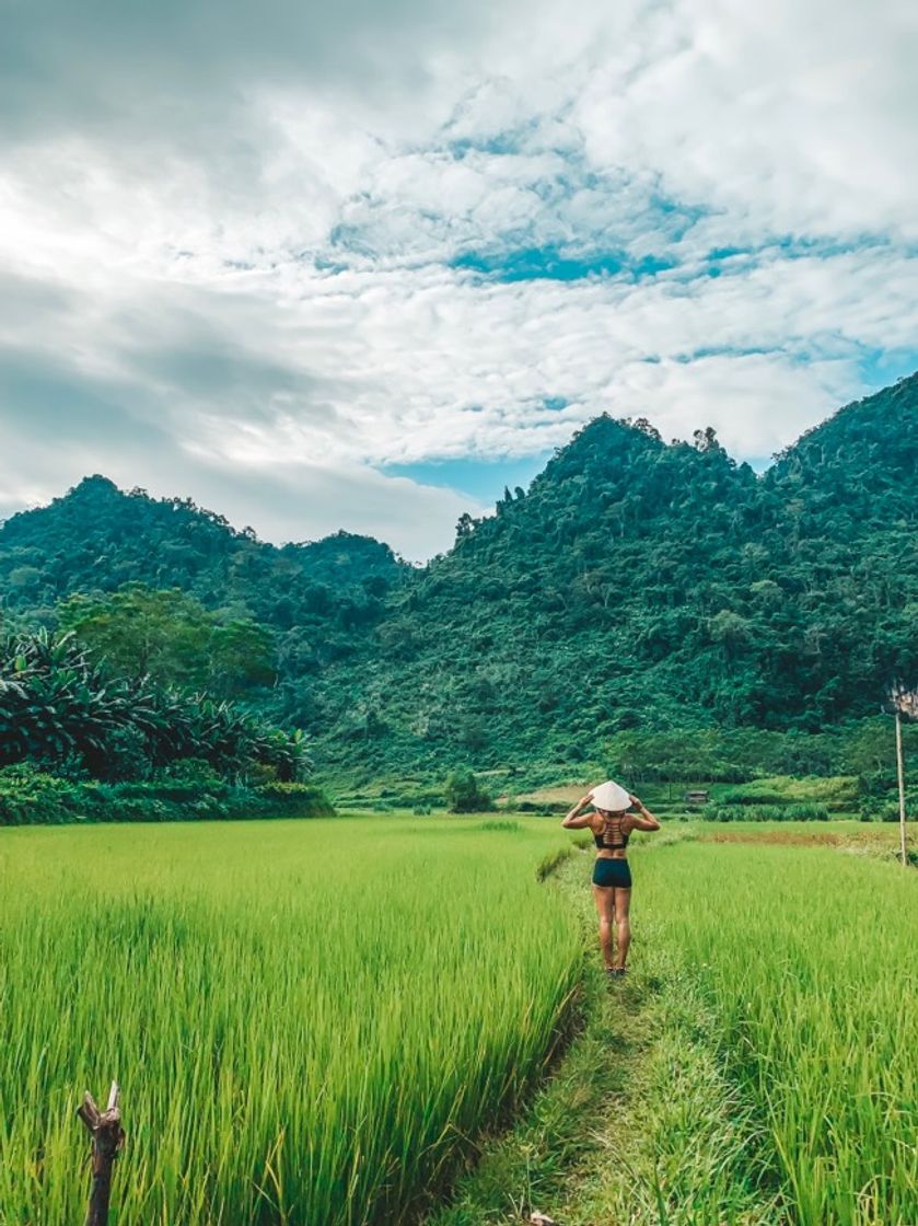 Moda Norte de Vietnam