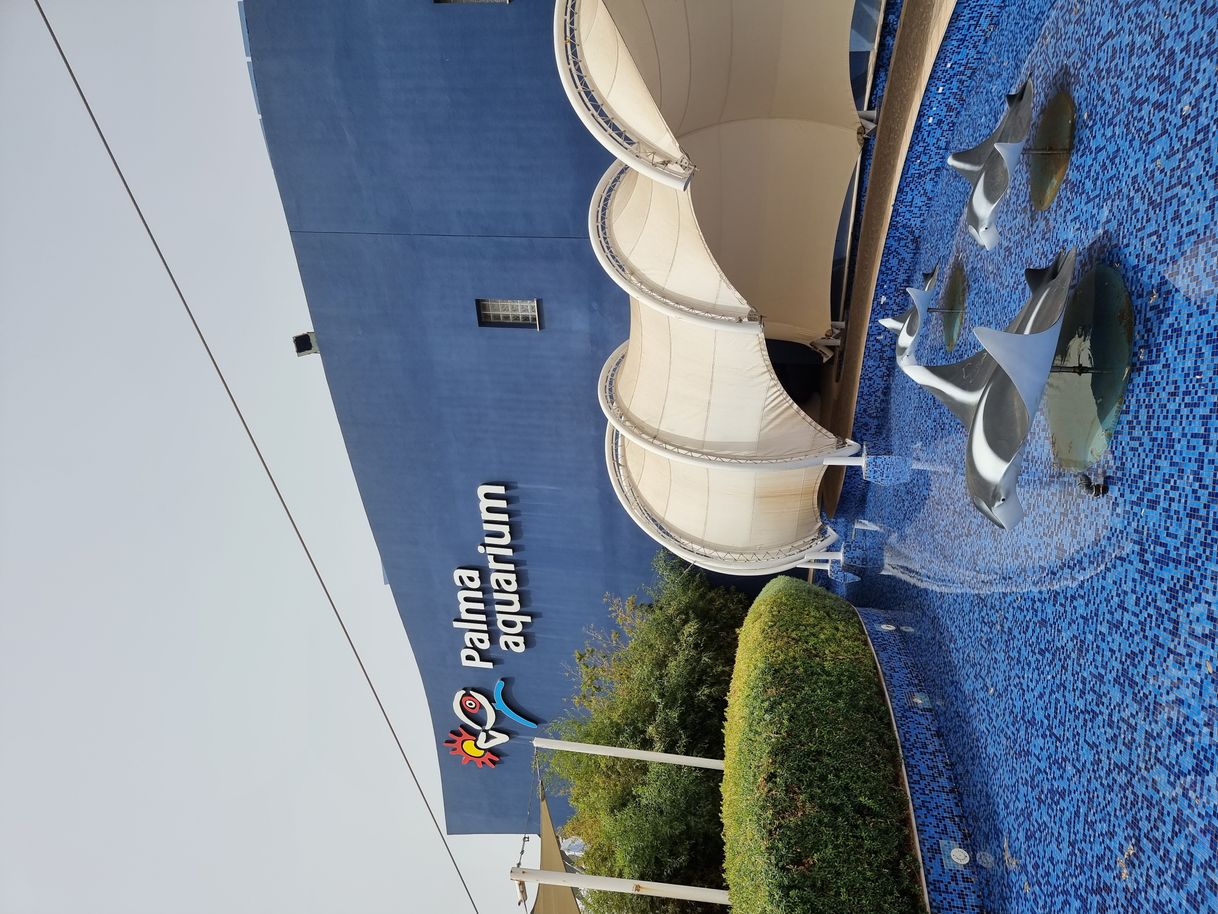 Lugar Palma Aquarium